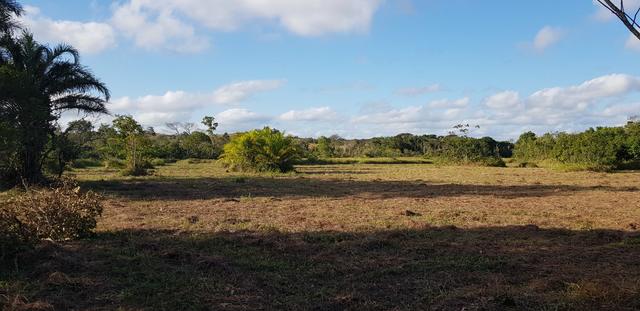 Vendo lote de chácara com uma area de 3.640m2 ou 28 x 130 financiamento direto com o dono - Foto 4