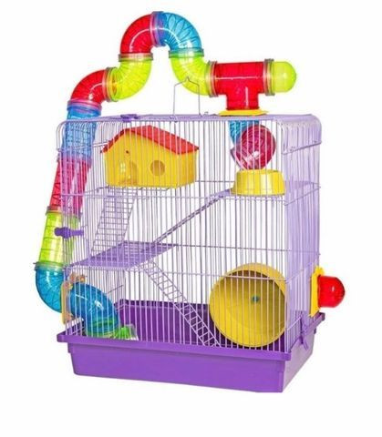 Gaiola de hamster - Anão russo