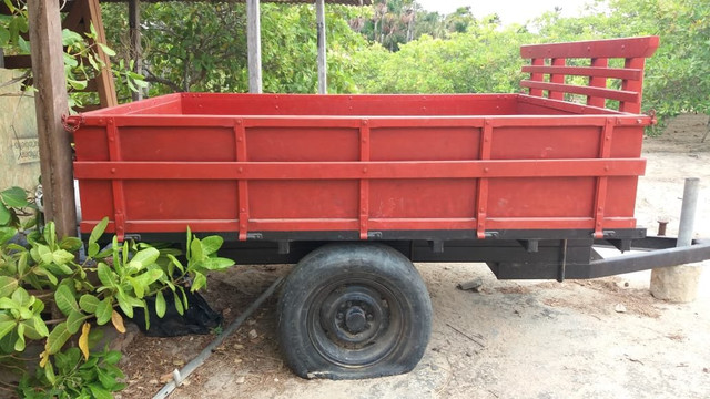 Carroça agrícola - Foto 4