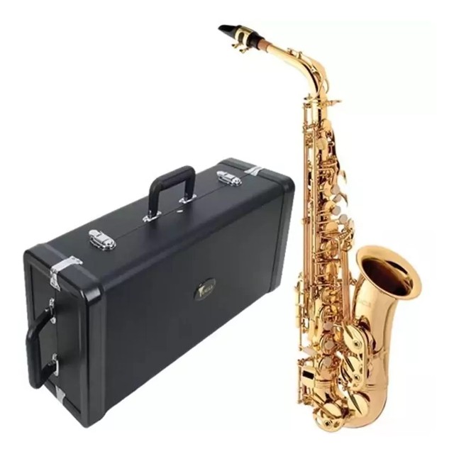 Sax Alto Eagle Sa501 Sa501 Mib Laqueado com Case Super Luxo Loja