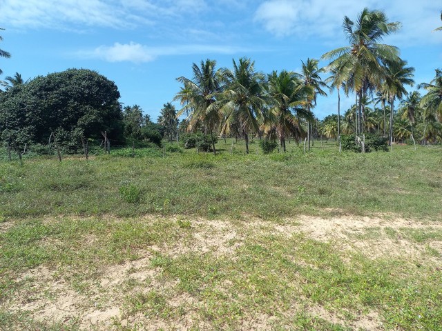 Vendo dói terrenos 