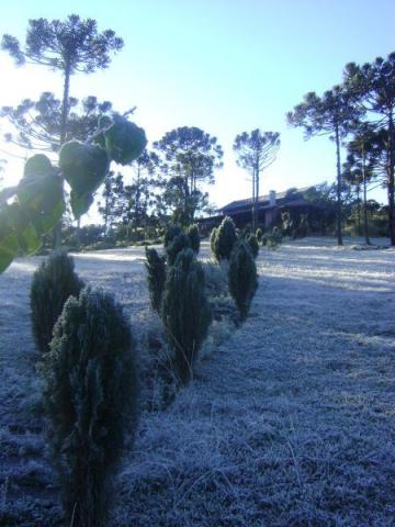 Fazenda com Vinhedo em Urubici/ fazenda em Urubici/ Chácaras em Urubici - Foto 2