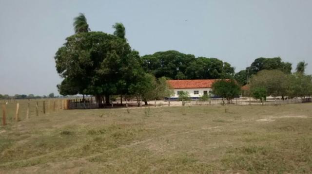 FAZENDA A VENDA EM PANTANAL DO PAIAGUÁS/CORUMBA-MS-Pecuária - Foto 3