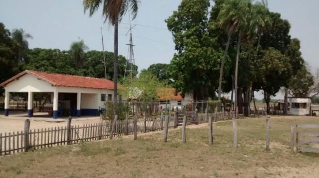 FAZENDA A VENDA EM PANTANAL DO PAIAGUÁS/CORUMBA-MS-Pecuária - Foto 2