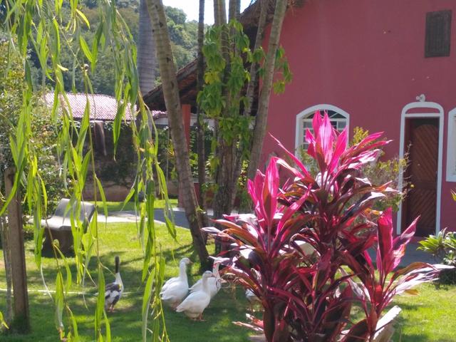 Chácara - Foto 7