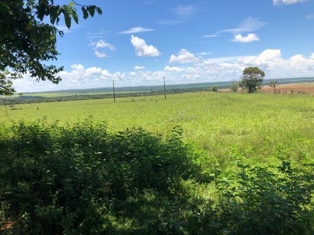 295 Hectares, 240 Hectares aberta, para soja, Região BR-163, próximo Mutum - Foto 4
