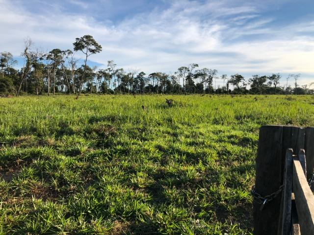 68 alqueires, 58 alqueires de pasto, Nova Marilãndia-Pecuama-MT - Foto 7