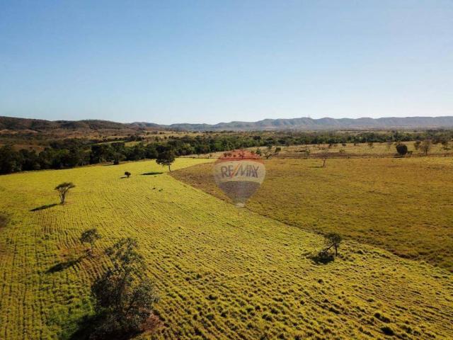 4 chácaras de 4 de hectares à venda por de r$ 320.000,00 cada em unaí/mg - Foto 4