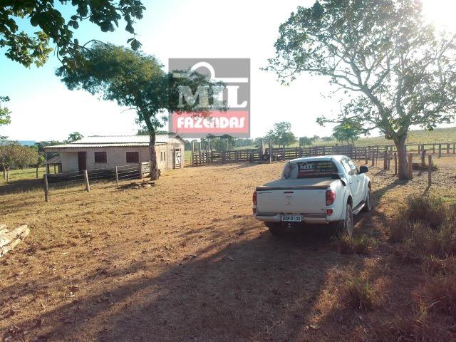 Fazenda 22 Alqueires (106 hectares) Nova Xavantina-MT - Foto 12