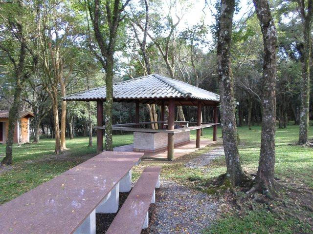 Ref. 735 - Fazenda de 60 Alqueires, 40 alqueires de planta, 15 alqueires de pasto - Foto 8