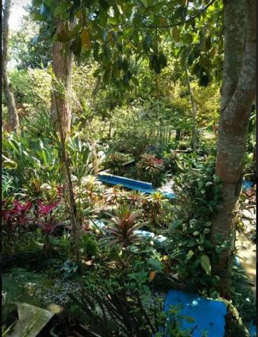 Chácara para alugar em Jardim colibri, Embu das artes cod:531 - Foto 6