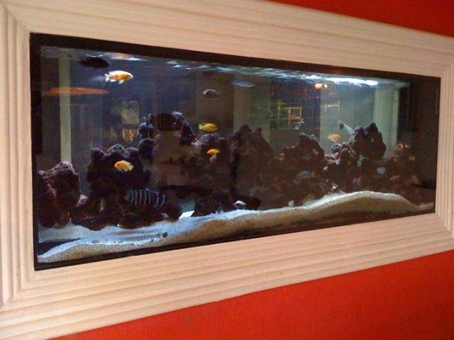 Chácara para alugar em São roque / mairinque, São roque cod:27900 - Foto 4