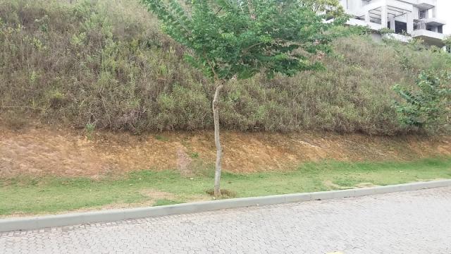 Lote com 1550 m² no vale dos cristais - Foto 20
