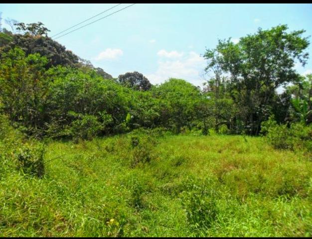Excelente Propriedade em Guapimirim Estrada Rio Teresópolis 48.000m2 R$ 170 mil - Foto 2