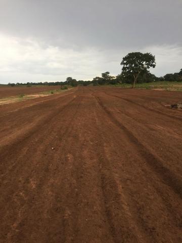 Fazenda 700 alqueires em Figueirão/MS - Foto 4