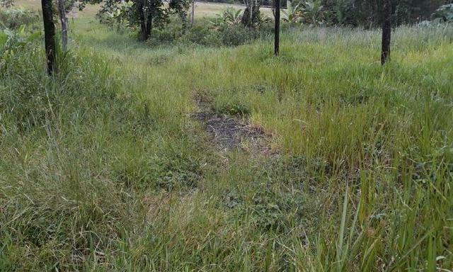 Excelente Propriedade em Guapimirim Estrada Rio Teresópolis 48.000m2 R$ 170 mil - Foto 8