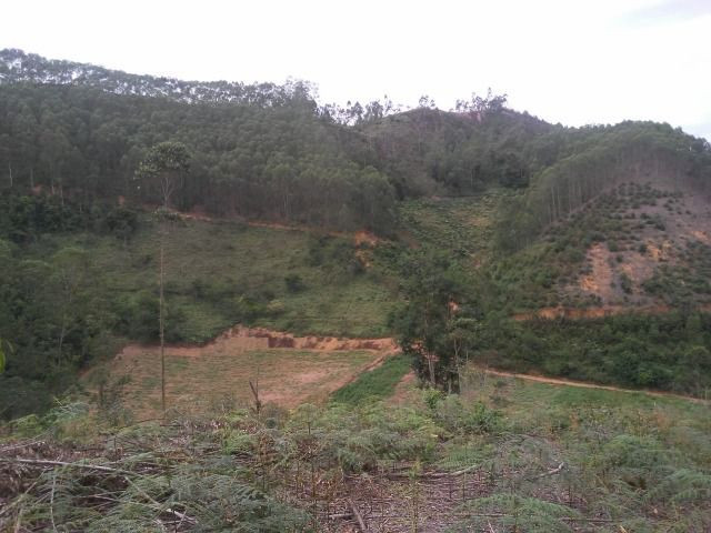 Paraju - Foto 5