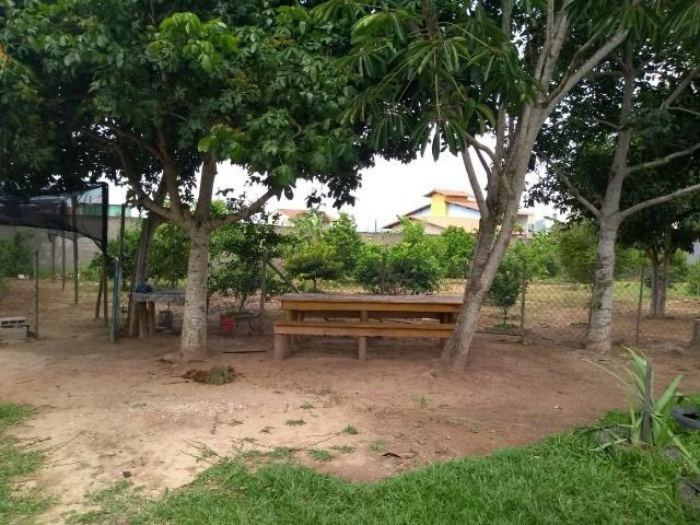 Lote/terreno - Foto 6