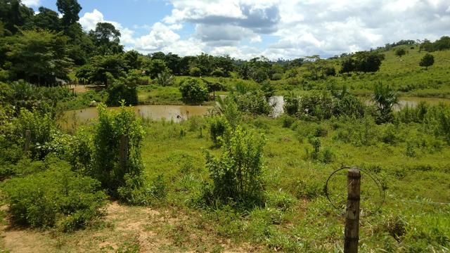 Vende-se terra de 5 Alqueires - Foto 8