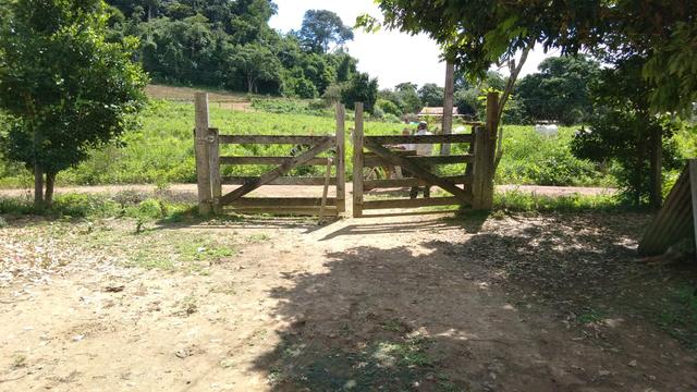 Vende-se terra de 5 Alqueires - Foto 16