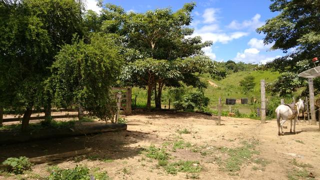 Vende-se terra de 5 Alqueires - Foto 14