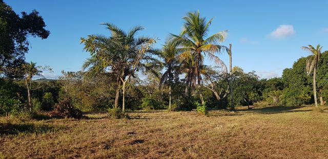 Vendo lote de chácara com uma area de 3.640m2 ou 28 x 130 financiamento direto com o dono - Foto 7