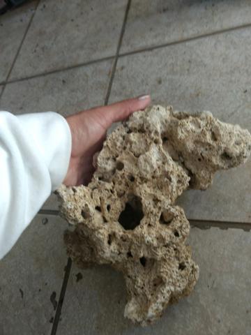Rochas marinhas - Foto 3