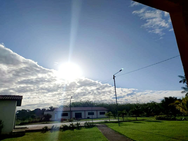 Vendo chácara terreno agrícola Castanhal Pa - Foto 12