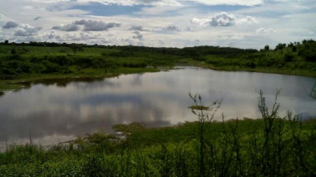 Bela fazenda de 157 hectares com gado leiteiro em Aguá -Branca -Pi