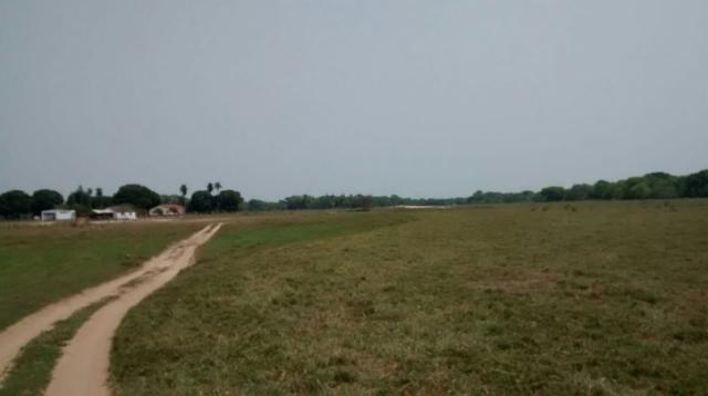 FAZENDA A VENDA EM PANTANAL DO PAIAGUÁS/CORUMBA-MS-Pecuária - Foto 6