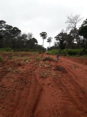 Fazenda de 900 Hectares ?Nova Maringá-MT, Troca imóveis em Campo Novo, Tangara - Foto 4