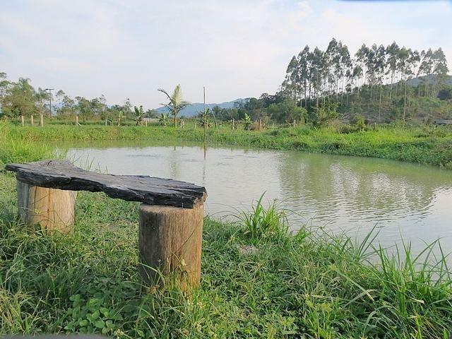 Chácara área de 3.900 m² Paraná, Guaratuba - Foto 10