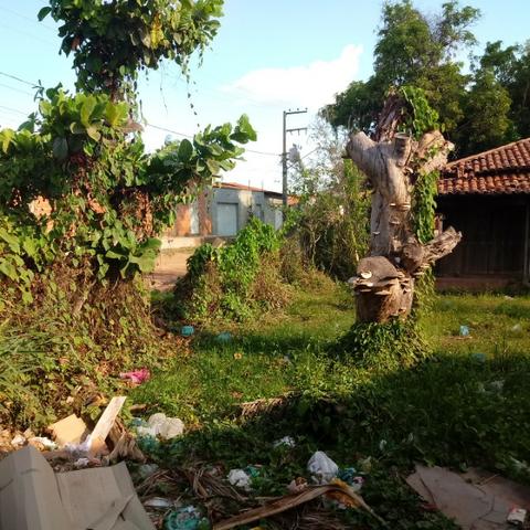 Terreno 1.280 m2 Rua C 235 proximo ao Planalto - Foto 12