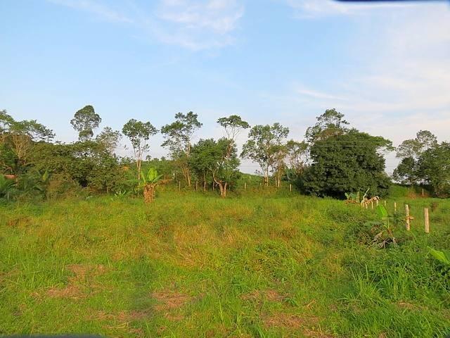 Chácara área de 3.900 m² Paraná, Guaratuba - Foto 6