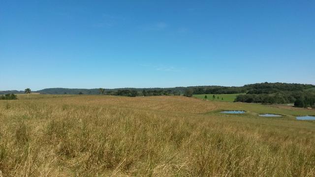 Ref. 735 - Fazenda de 60 Alqueires, 40 alqueires de planta, 15 alqueires de pasto - Foto 20