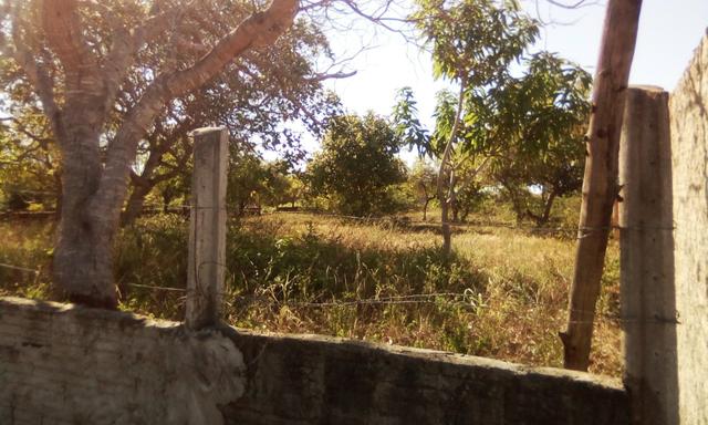 Terreno em Pium