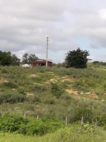 Fazenda à venda, 1300000 m² por r$ 185.000,00 - zona rural - forquilha/ce - Foto 3