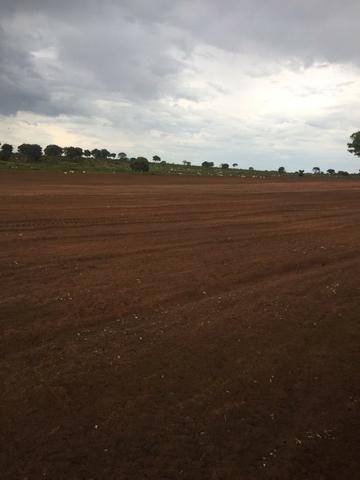 Fazenda 700 alqueires em Figueirão/MS - Foto 2