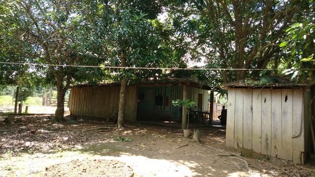 Vende-se terra de 5 Alqueires - Foto 10