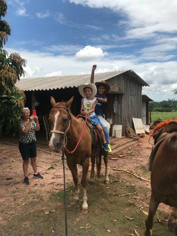 Égua Quarto de Milha, Mansa - Foto 3