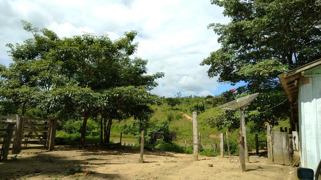 Vende-se terra de 5 Alqueires - Foto 7