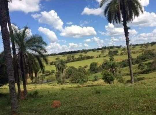 Oportunidade - Linda fazenda á venda R$850 mil . 700 hectares! Possibilidade parcelamento - Foto 2