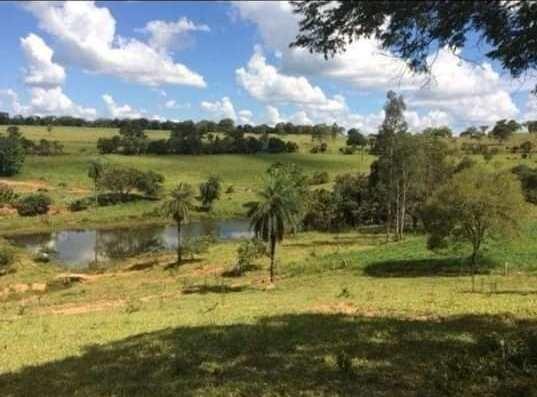 Oportunidade - Linda fazenda á venda R$850 mil . 700 hectares! Possibilidade parcelamento - Foto 7
