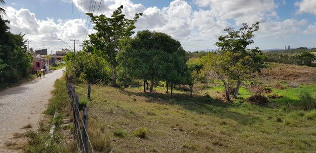 Vendo lote de chácara com uma area de 3.640m2 ou 28 x 130 financiamento direto com o dono - Foto 5