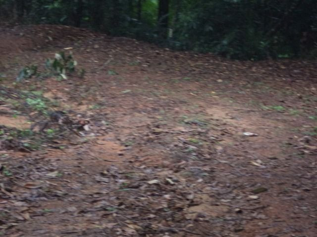 Marechal - Foto 4