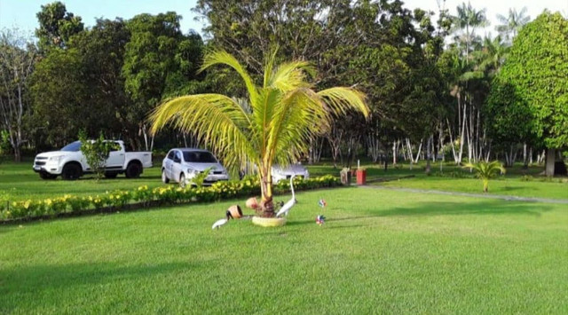 Vendo chácara terreno agrícola Castanhal Pa - Foto 15