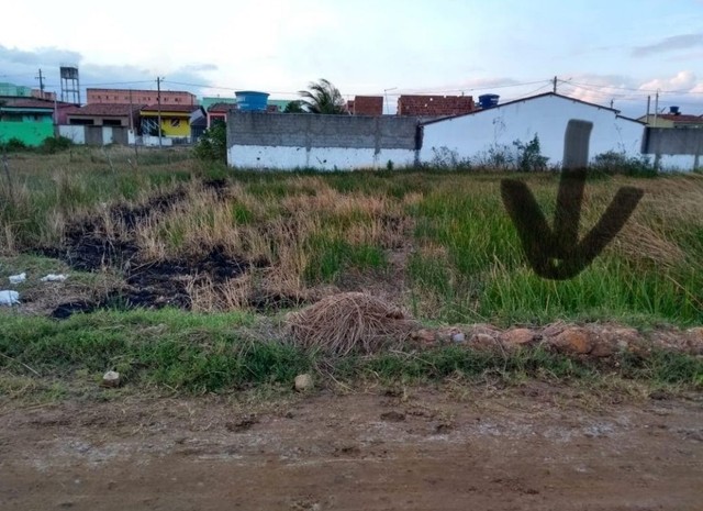 Terreno  Limoeiro PE 8×25
