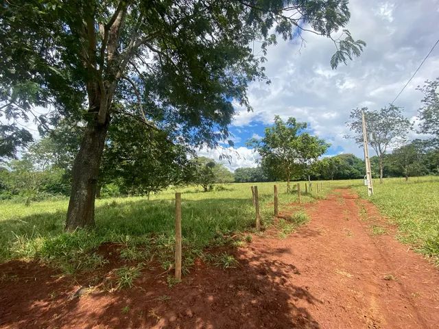 Sítios e chácaras à venda em Goiás | OLX