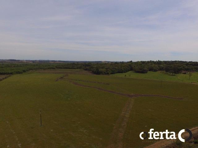 Fazenda na Lapa - Foto 5