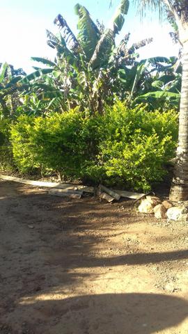 Santo Antônio do Descoberto - GO - Foto 9